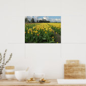 Gelbe Tulips in einem Feldholland Poster (Küche)