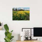 Gelbe Tulips in einem Feldholland Poster (Heimbüro)