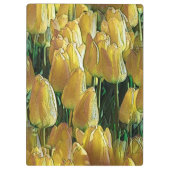 Gelbe Tulips Klemmbrett (Rückseite)