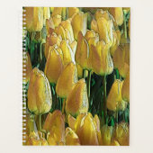 Gelbe Tulips Planer (Vorderseite)