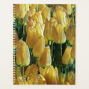 Gelbe Tulips Planer