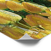 Gelbe Tulips Poster (Ecke)