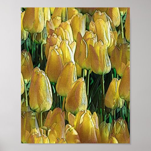 Gelbe Tulips Poster (Vorne)