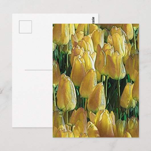 Gelbe Tulips Postkarte (Vorne/Hinten)