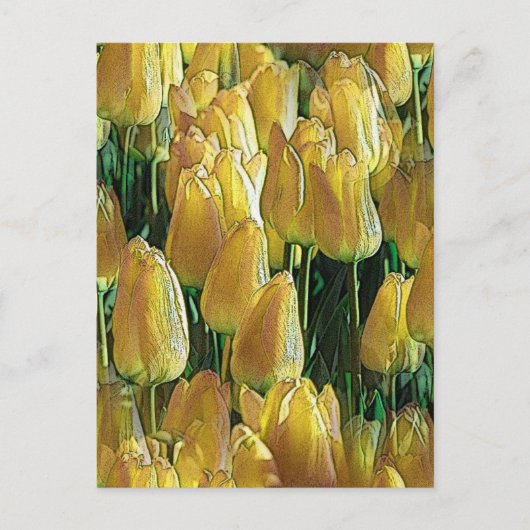 Gelbe Tulips Postkarte (Vorderseite)