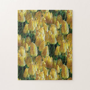Gelbe Tulips Puzzle