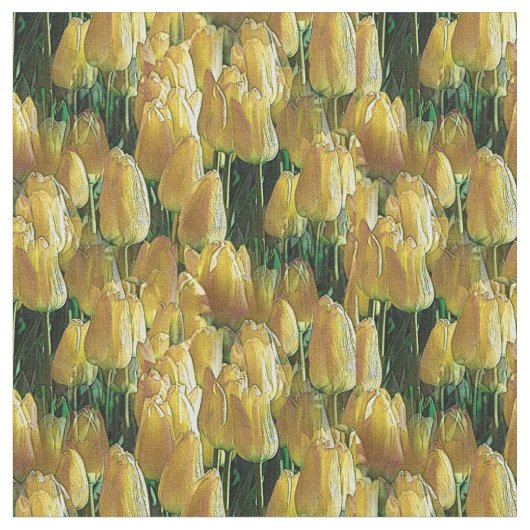 Gelbe Tulips Stoff (Nahaufnahme)