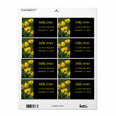 Gelbe Tulissen (Vorne)