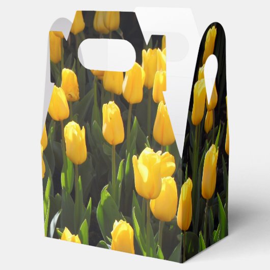 Gelbe Tulissen Geschenkschachtel (Geöffnet)