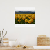 Gelbe Tulissen Poster (Küche)