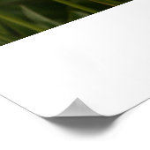 Gelbe Tulissen Poster (Ecke)