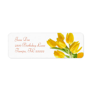 Gelbe Tulpe