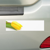 Gelbe Tulpe Autoaufkleber (Auf Auto)