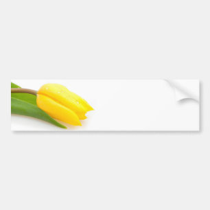 Gelbe Tulpe Autoaufkleber