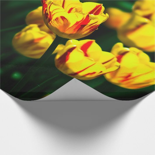 Gelbe Tulpe-Blume Geschenkpapier (Ecke)