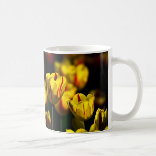 Gelbe Tulpe-Blume Kaffeetasse (Rechts)