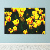 Gelbe Tulpe-Blume Leinwanddruck (Insitu (Holzboden))