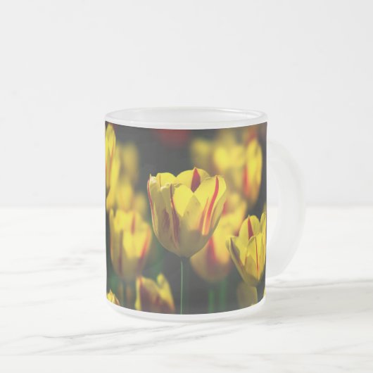 Gelbe Tulpe-Blume Mattglastasse (VorderseiteRechts)