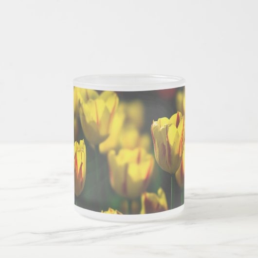 Gelbe Tulpe-Blume Mattglastasse (Mittel)