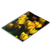Gelbe Tulpe-Blume Notizblock (Linke Seite)