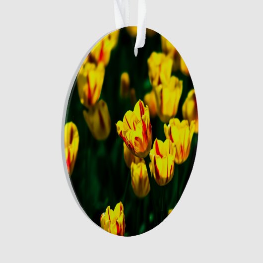 Gelbe Tulpe-Blume Ornament (Vorderseite)