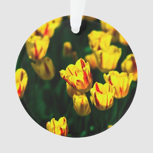 Gelbe Tulpe-Blume Ornament (Vorderseite)