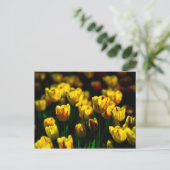 Gelbe Tulpe-Blume Postkarte (Stehend Vorderseite)