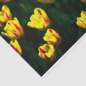 Gelbe Tulpe-Blume Seidenpapier (Ausschnitt)