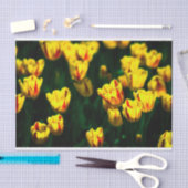 Gelbe Tulpe-Blume Seidenpapier (Handwerk)