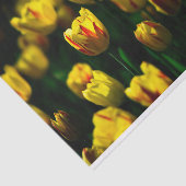 Gelbe Tulpe-Blume Seidenpapier (Ausschnitt)