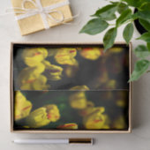 Gelbe Tulpe-Blume Seidenpapier (Geschenk)