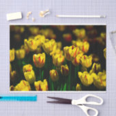 Gelbe Tulpe-Blume Seidenpapier (Handwerk)