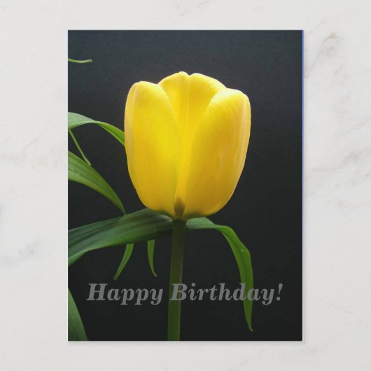 Gelbe Tulpe Blume zum Geburtstag Postkarte (Vorderseite)