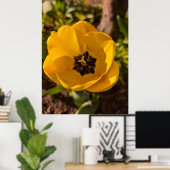 Gelbe Tulpe im Frühling Makro Poster (Heimbüro)