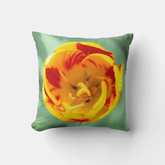 Gelbe Tulpe, Kissen (Vorderseite)