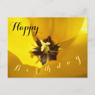 Gelbe Tulpe Nahaufnahme Frohe Geburtstag Postkarte