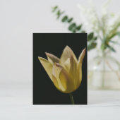 Gelbe Tulpe Postkarte (Stehend Vorderseite)