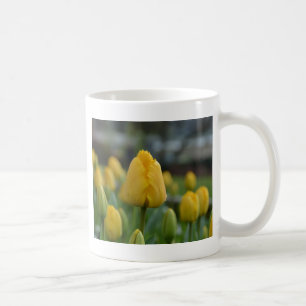 Gelbe Tulpen auf dem Feld Kaffeetasse