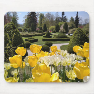 Gelbe Tulpen aus Arboretum Volcji Potok Slowenien Mousepad