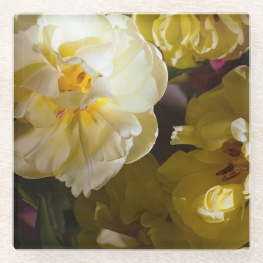 Gelbe Tulpen-Foto Glasuntersetzer (Vorderseite)