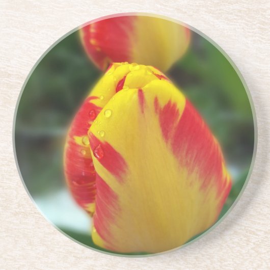 Gelbe Tulpen Getränkeuntersetzer (Vorne)