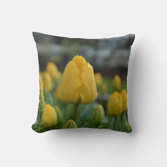 Gelbe Tulpen im Feld Throw Kissen (Vorderseite)
