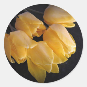 "Gelbe Tulpen mit einem dunklen Hintergrund " Runder Aufkleber
