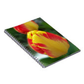 Gelbe Tulpen Notizblock (Rechte Seite)