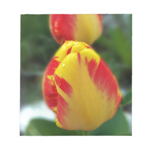 Gelbe Tulpen Notizblock
