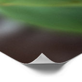 Gelbe Tulpen Poster (Ecke)