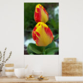 Gelbe Tulpen Poster (Küche)