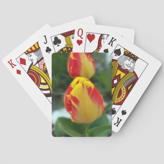 Gelbe Tulpen Spielkarten (Rückseite)