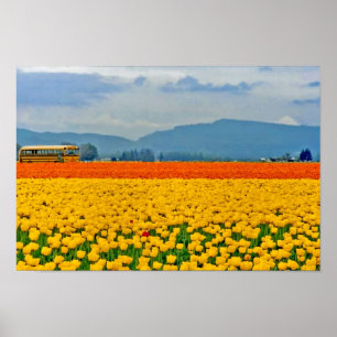 Gelbe Tulpen und Schulbus Poster