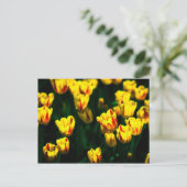 Gelbe Tulpenblumen Postkarte (Stehend Vorderseite)